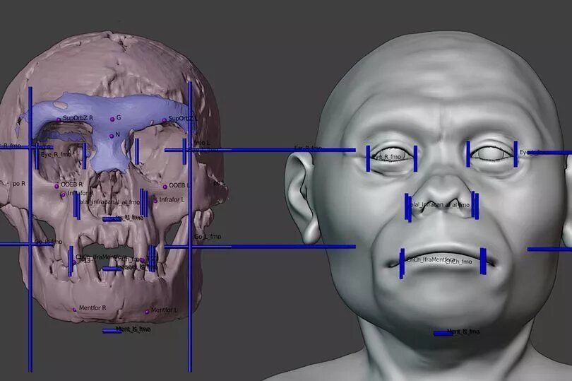 Вчені відтворили обличчя справжнього гобіта, який жив 60 000 років тому